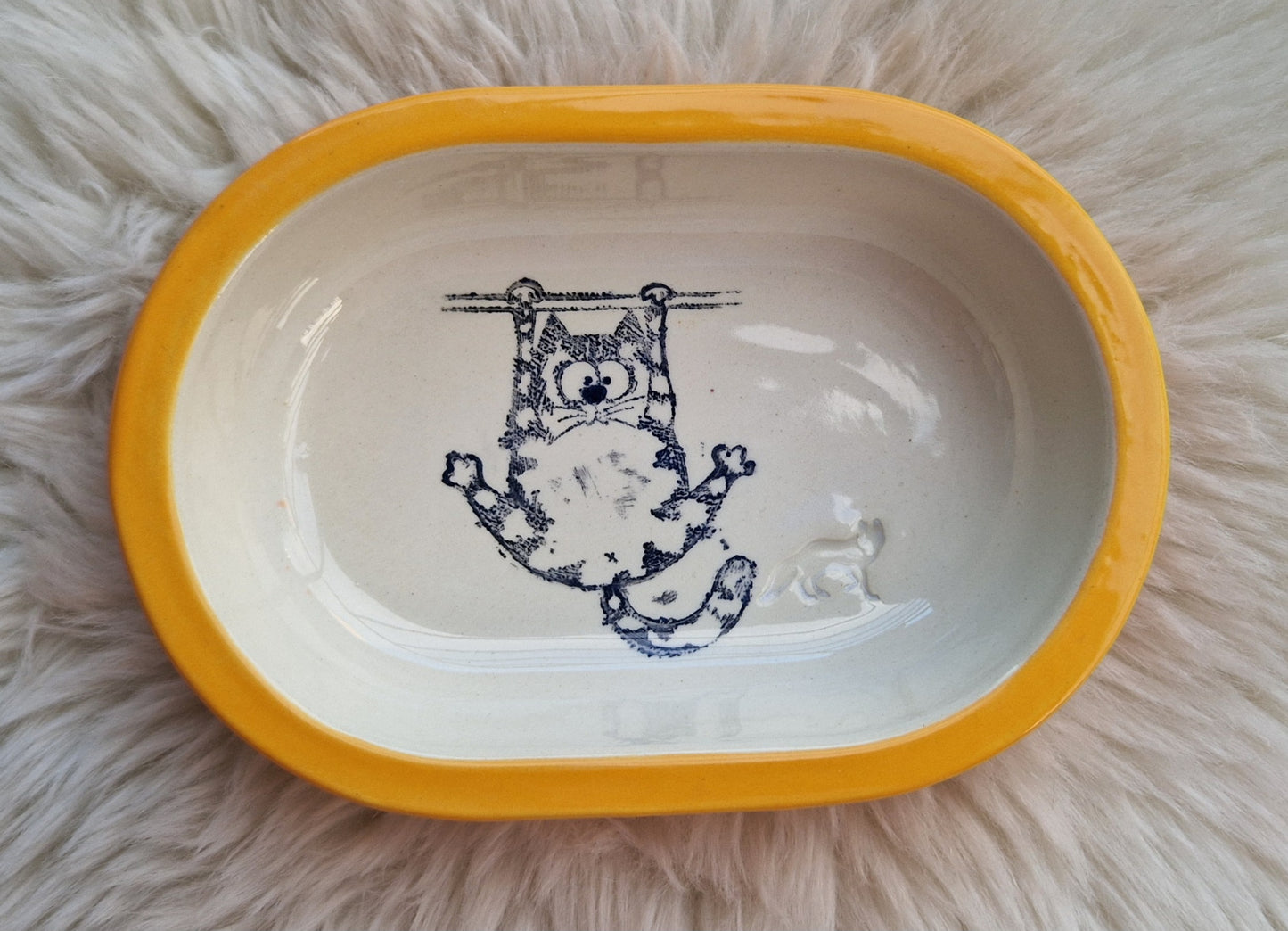 Keramik Schale für Surefeed mit Farbrand "Finn – Die Schwerkraft-Challenge"