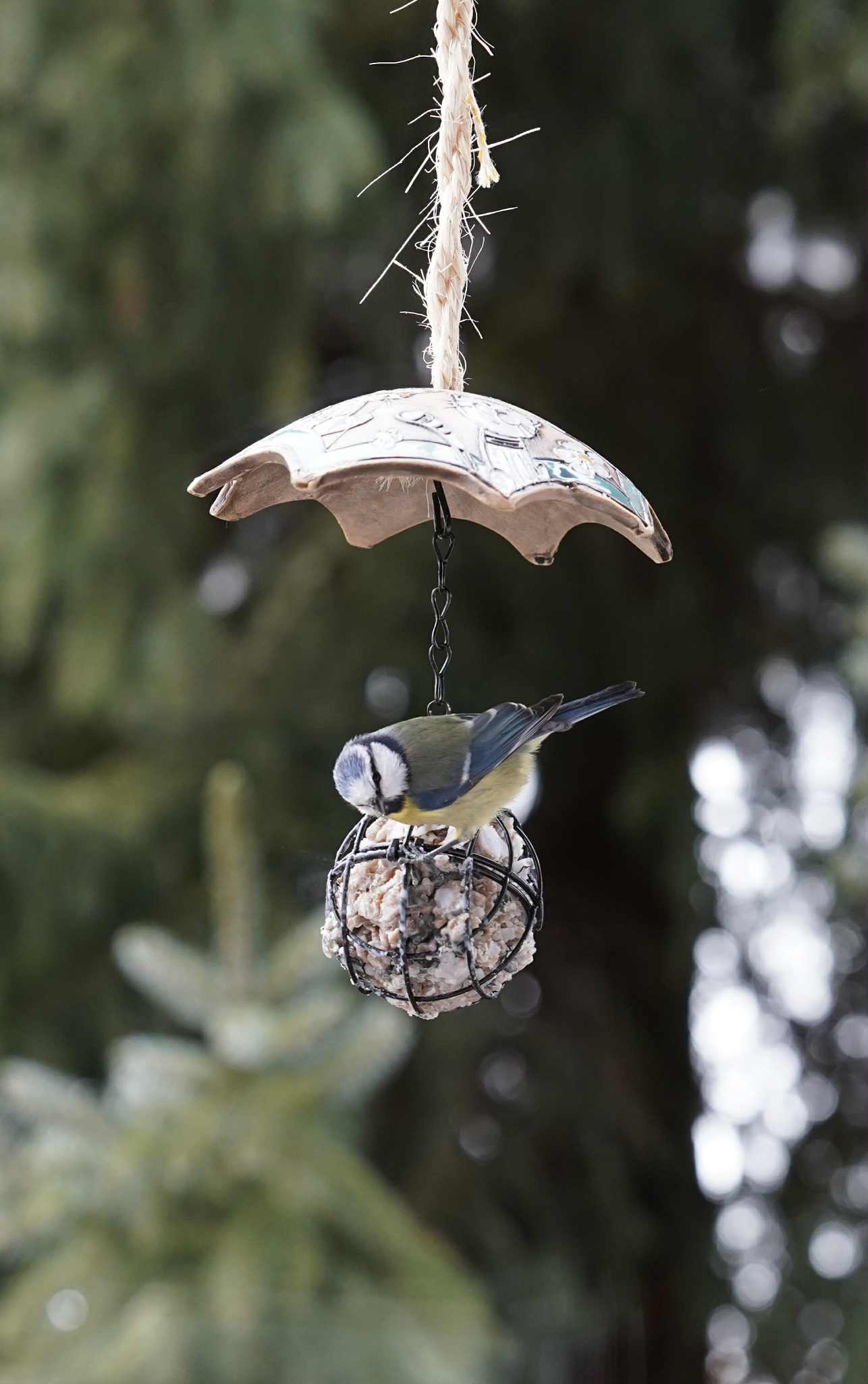 Meisenknödelschirme aus frostfester Keramik