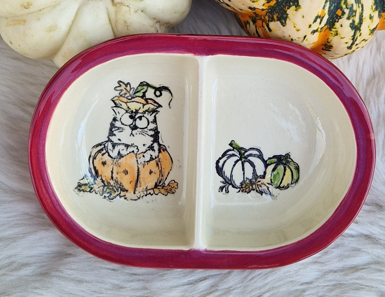 Keramik Schale für Surefeed mit Farbrand "Finn's Kürbis Spaß" geteilte Ausführung