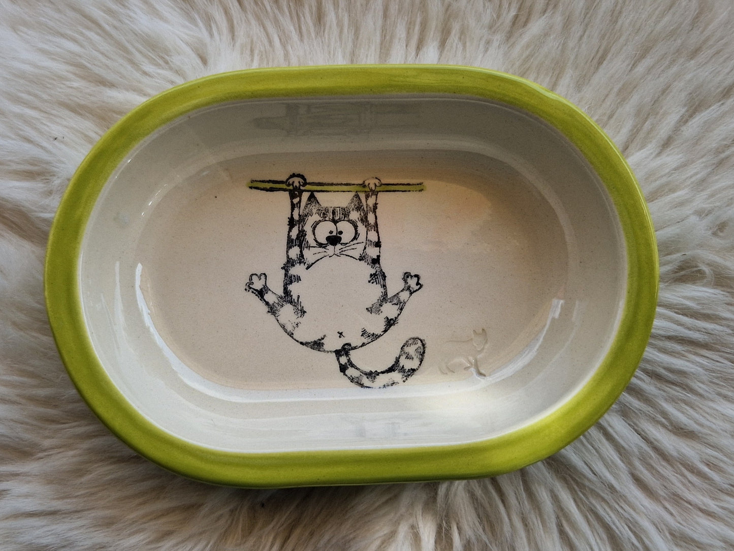 Keramik Schale für Surefeed mit Farbrand "Finn – Die Schwerkraft-Challenge"